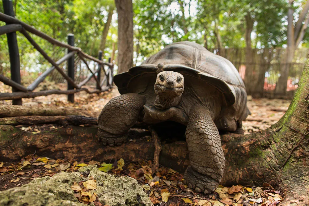 Kontakta myAfrica.se